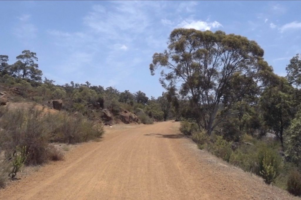Binaural Bushwalk - Australian Walking Trail